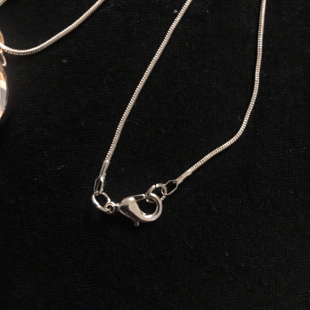 Shell Necklace - Picture 3 of 3